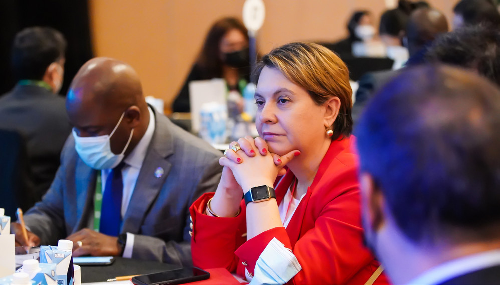 ECAC Focal Point for Environmental matters and Director General for Civil Aviation, United Kingdom, Rannia Leontaridi